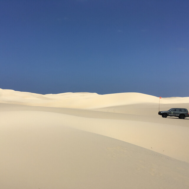 Greycruzpanaedit2