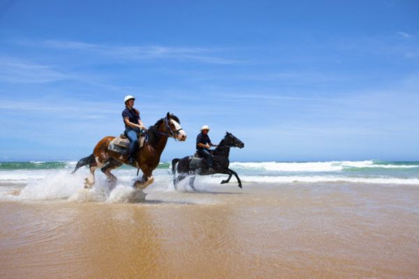 sand dunes horse riding