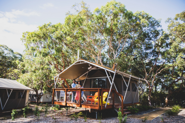 winter port stephens koala sanctuary