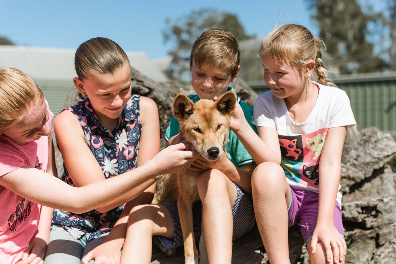 Oakvale Wildlife Park - Threatened Species Weekend Event :: Port Stephens