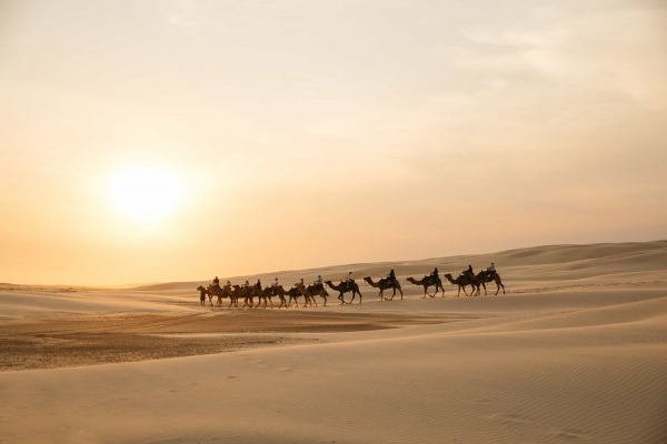 Oakfield Ranch Camel Rides Credit DestinationNSW LC 1