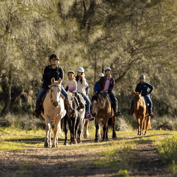 Sahara Trails credit DestinationNSW