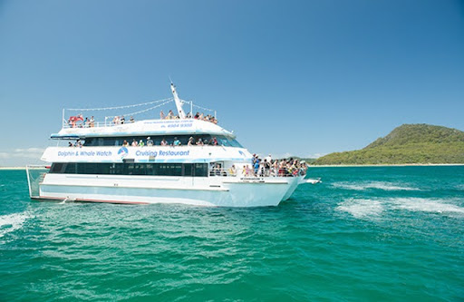 dolphin spotting cruise